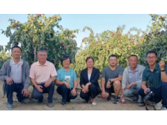 喜讯！新疆昆玉红枣科技小院获“最美”称号