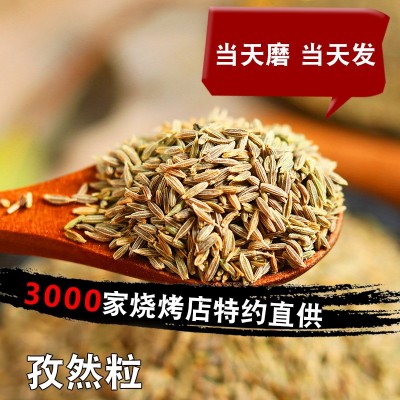 孜然粉批发烧烤家用调料撒料腌料羊肉串烤肉蘸料新疆粒代发批发