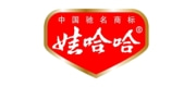 娃哈哈