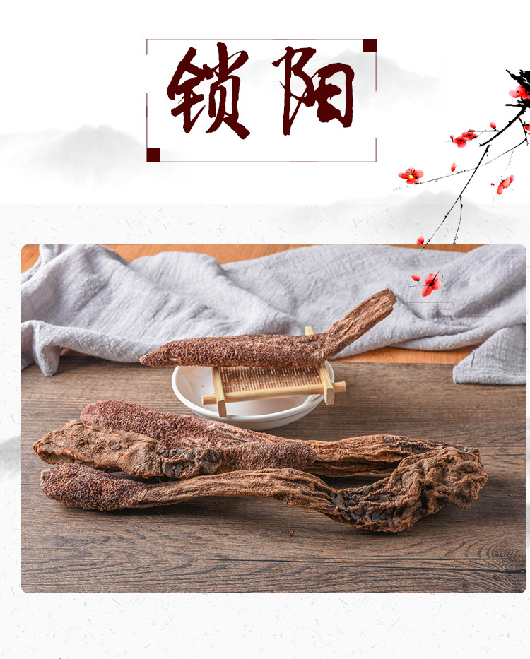 锁阳_01.jpg