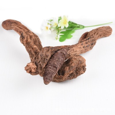批发现货 新疆锁阳片 锁阳个 泡酒锁阳 肉苁蓉 四宝泡酒料 风流果