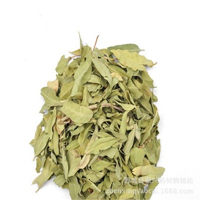 振兴中药 中药材批发供应 罗布麻 新疆统货 量大优惠