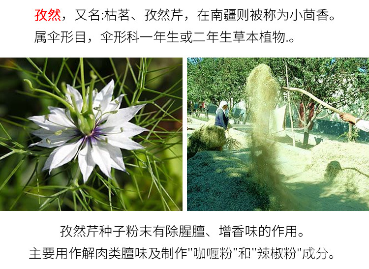 详情_09.jpg
