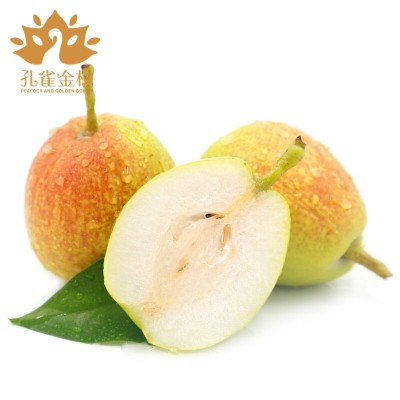新疆孔雀金枝库尔勒香梨 精美礼盒/家庭装 应季水果