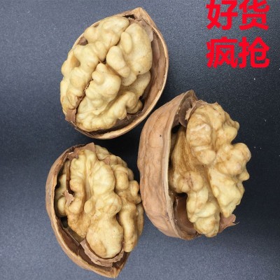 阿克苏185纸皮核桃薄皮核桃产地直发1/2/5斤新疆直发