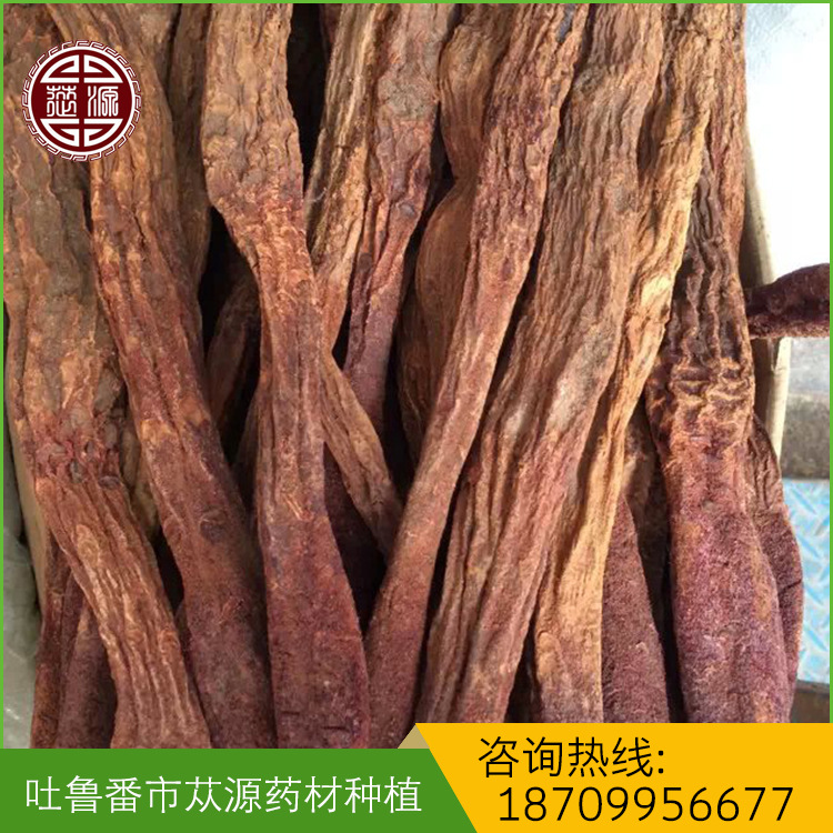 主图4