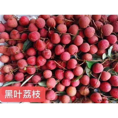 黑叶荔枝