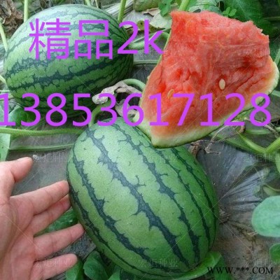 山东西瓜 潍坊早春红玉西瓜批发