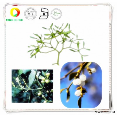 供应白果槲寄生叶提取物 黄酮 三萜内 植物提取物