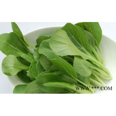 优质速冻食材批发蔬菜批发大朗蔬菜配送
