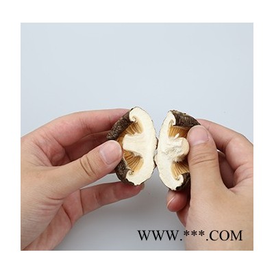 供应兴利精选大香菇冬菇钟祥土特产干香菇批发荆楚风味湖北香菇品牌