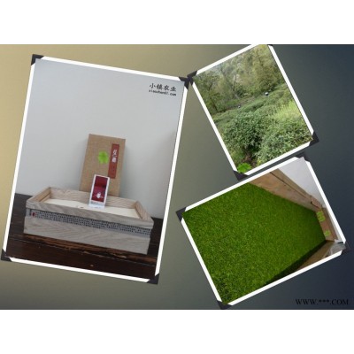 福州正山小种红茶种植基地