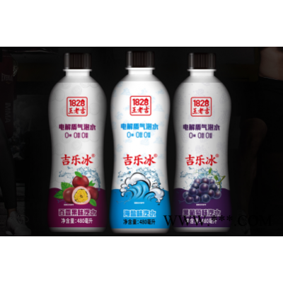 休闲零食品批发代理 王老吉电解质气泡水碳酸饮料480ml招商