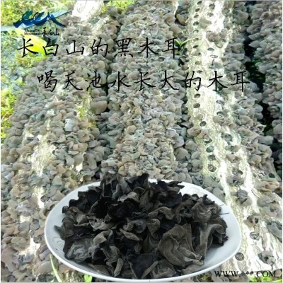 东北木耳 黑木耳 东北木耳 长白山木耳