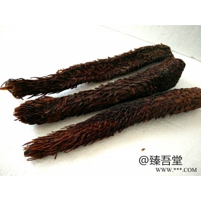沙漠人参**阿拉善肉苁蓉价格