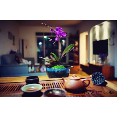 湖南黑茶品牌 湖南黑茶品牌全网推荐