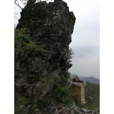 传统古法木桶野土蜜