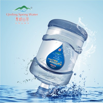 秦岭山泉富锶含硒**水弱碱性山泉水 家庭桶装水三加仑11.3L 泡茶水 饮茶水