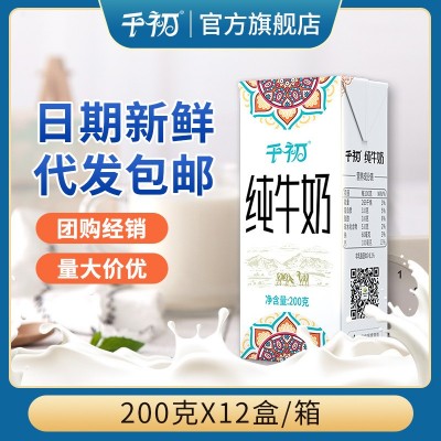 千初 牛奶整箱批发纯牛奶整箱200g*20盒全脂儿童早餐奶盒装鲜牛奶