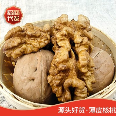 新疆特产薄皮核桃批发代发500g 阿克苏纸皮幸福核桃薄皮生核桃