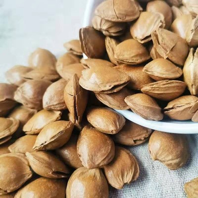 【批发代发】新疆特产 手剥杏仁开口杏核坚果零食一件代发