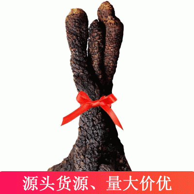 油苁蓉整根泡酒料肉苁蓉油苁蓉鲜切片干货新新疆吐鲁番产地油苁蓉