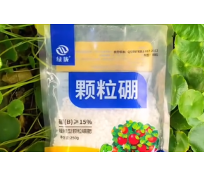 为什么越来越多的人都在用颗粒硼了？#分享农业知识帮农民增产增收 #农资肥料 #传播农业小知识 #颗粒硼
