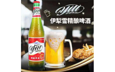 伊犁雪精酿原浆啤酒招商