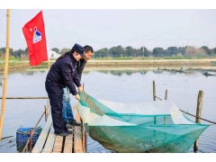 阳澄湖畔特色农业 平安“警”相随