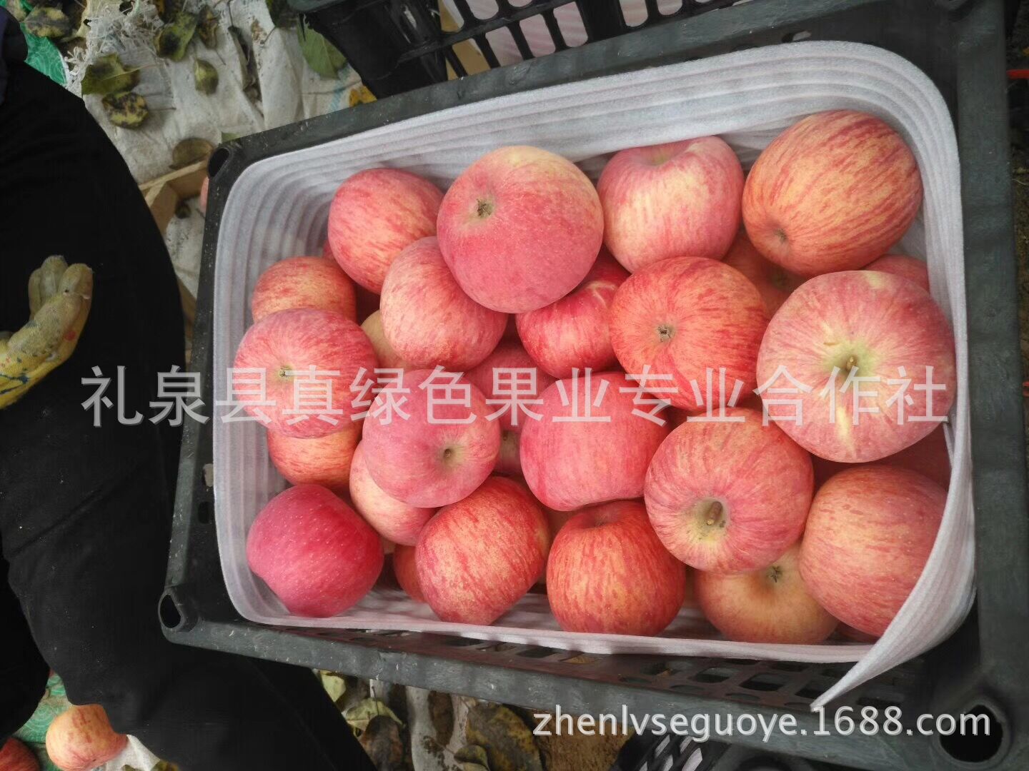 QQ图片20151214202616
