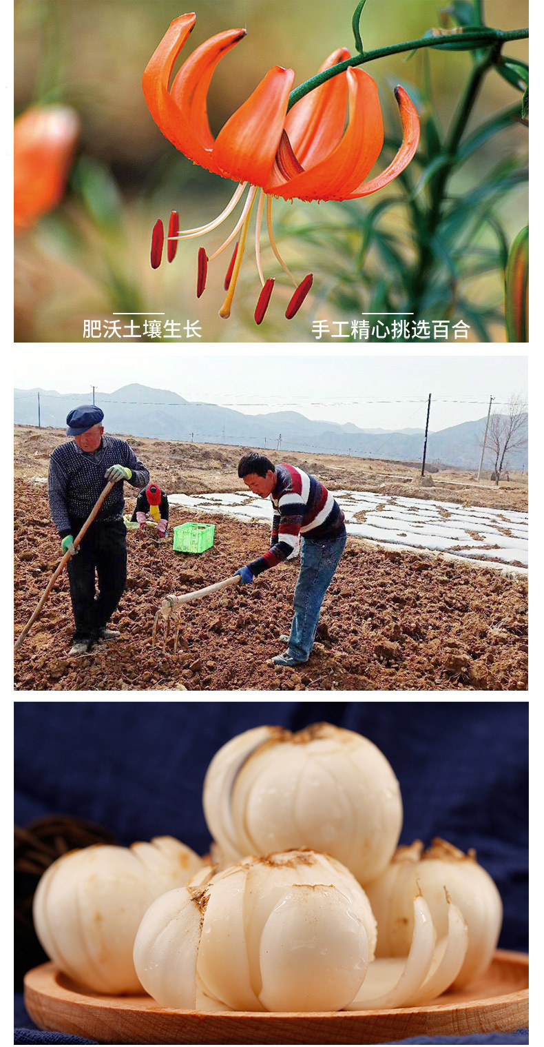 小皇详情页_03.jpg