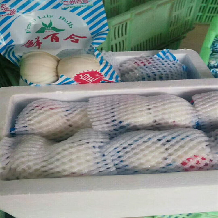 initpintu_副本