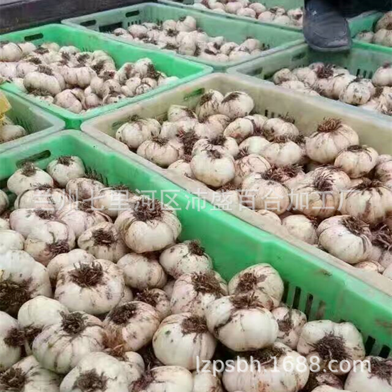 微信图片_20180531183433_副本