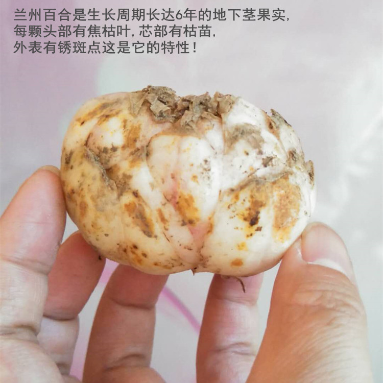 微信图片_20180531183516_副本_副本