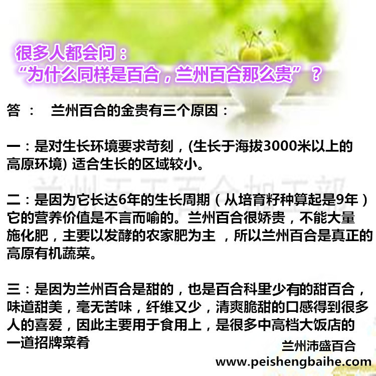 2139282542_1382064318_副本 (2)_副