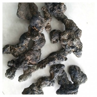 文县猪苓 熏品质猪苓 散装批发中药材猪苓