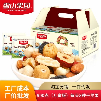 新疆雪山果园 每日坚果礼盒 坚果休闲零食 成人儿童零食900g