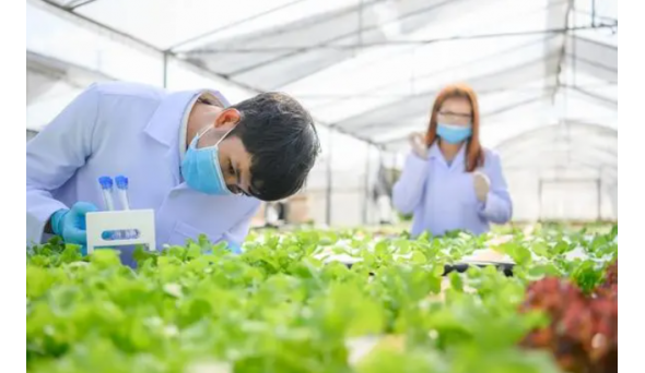 用科技助力农业发展，这些农技知识你一定要掌握！