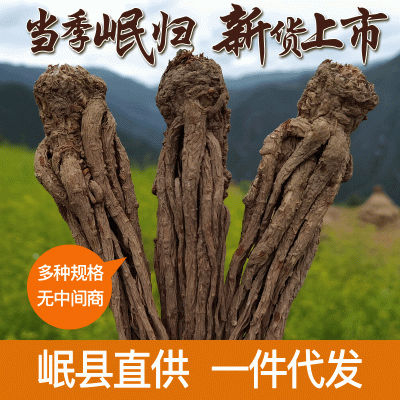 甘肃岷县土特产无硫当归原条500g克当归可切归头片全归片磨粉批发