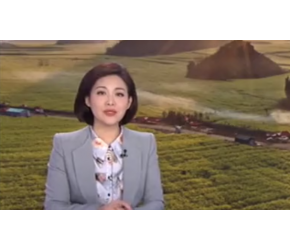 "藏粮于地藏粮于技"，保障粮食安全，推进农业关键核心技术公关