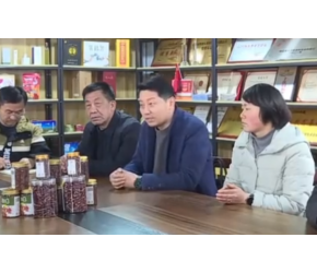 红安融媒 明创农业携手合作 共同打造 “椒界”品牌