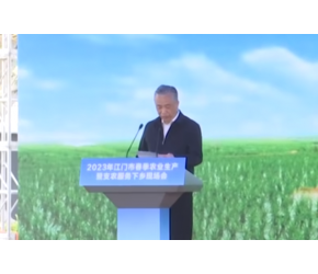 现代科技助力农业提质增效，助推江门农业高质量发展