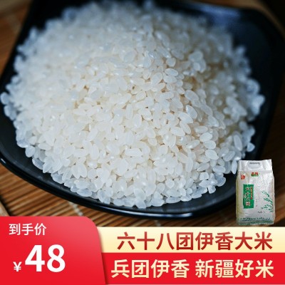 伊香68团大米5kg水稻家用营养新疆察布查尔县袋装粳米