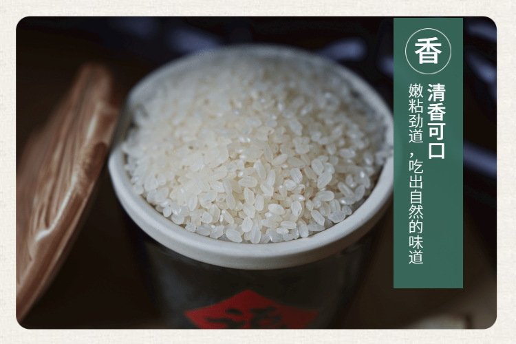 稿定设计-5.jpg