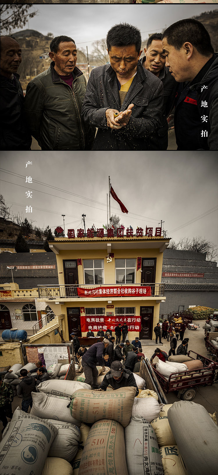 详情页_05.jpg