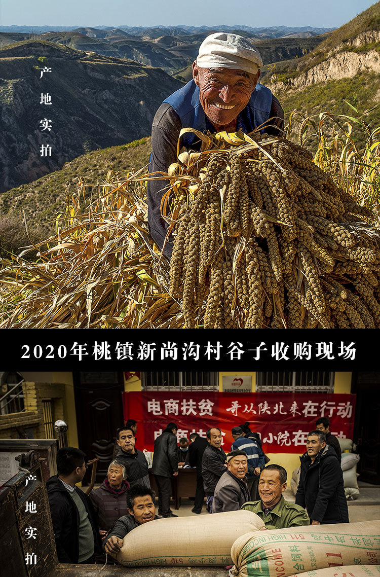 详情页_04.jpg