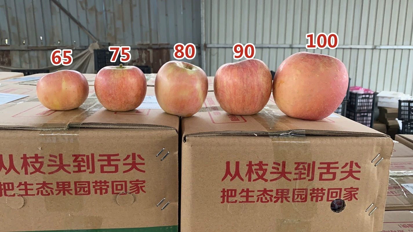 微信图片_20211020183916