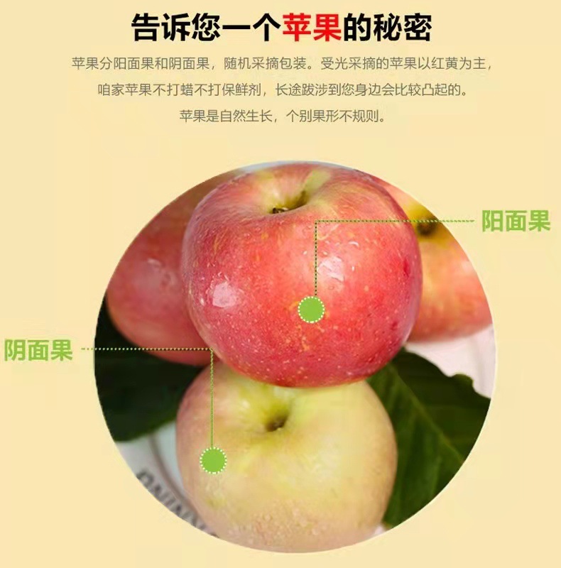 微信图片_20211020183907