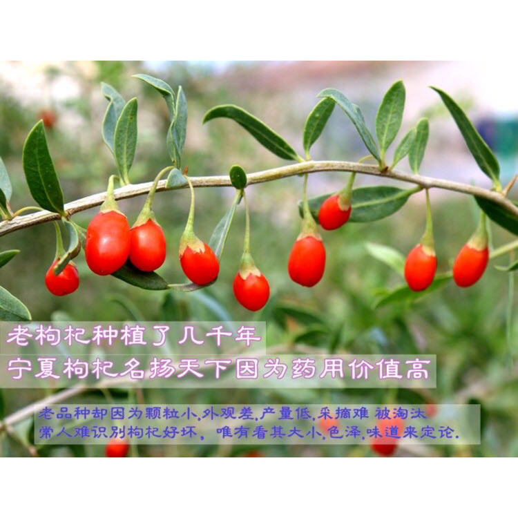微信图片_20210718140045