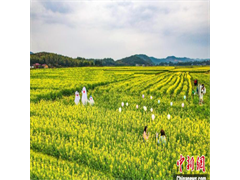 乡约福建：荒地变良田 致富新活力